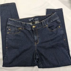 Lane bryant dark wash genius fit jeans